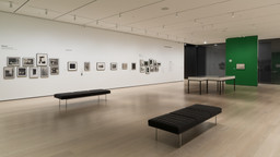 Installation photo, 10 of 22