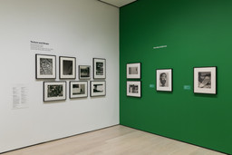 Installation photo, 16 of 22