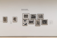 Fotoclubismo: Brazilian Modernist Photography, 1946–1964. May 8–Sep 26, 2021. 8 other works identified