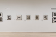 Fotoclubismo: Brazilian Modernist Photography, 1946–1964. May 8–Sep 26, 2021. 8 other works identified