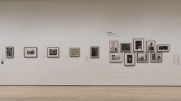 Installation photo, 6 of 22