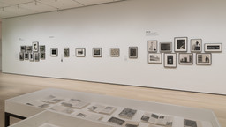 Installation photo, 8 of 22