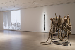 Installation photo, 14 of 18