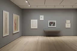 Installation photo, 70 of 101