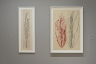 Louise Bourgeois: An Unfolding Portrait. Sep 24, 2017–Jan 28, 2018. 1 other work identified