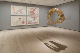Installation view of the exhibition 