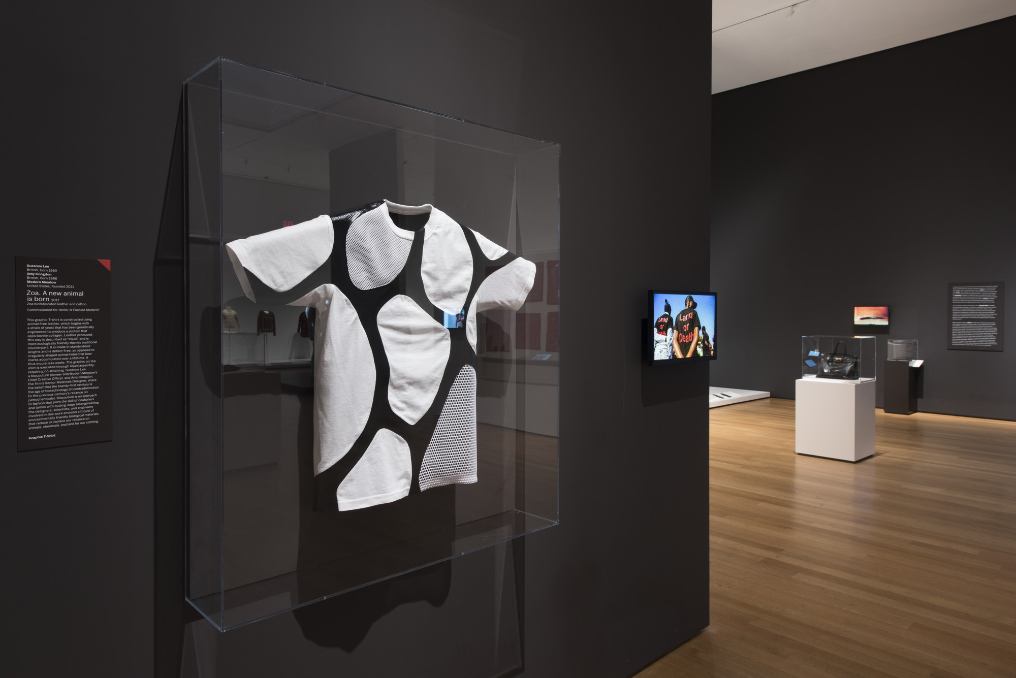 Installation view of the exhibition 