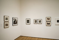 Photography Collection: Rotation 3. Mar 15–Nov 27, 2006. 6 other works identified