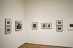 Installation photo, 10 of 25