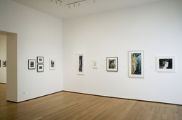 Installation photo, 11 of 25