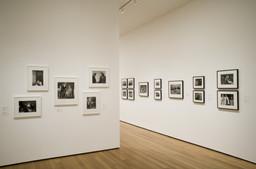 Installation photo, 16 of 25