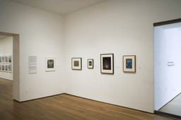 Installation photo, 3 of 25