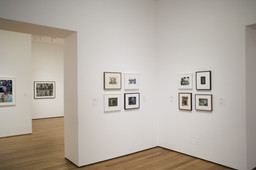 Installation photo, 4 of 25