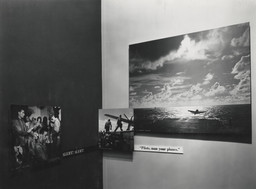 Installation photo, 48 of 49
