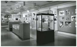 Installation photo, 2 of 13