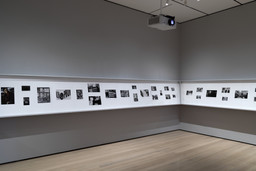 Installation photo, 4 of 73