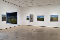Installation photo, 44 of 73