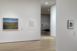 Installation photo, 47 of 73