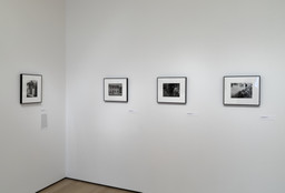 Installation photo, 48 of 73