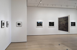 Installation photo, 50 of 73
