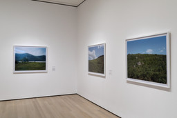 Installation photo, 52 of 73