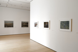 Installation photo, 61 of 73