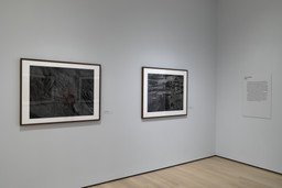 Installation photo, 66 of 73