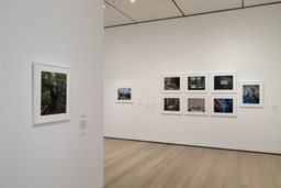 Installation photo, 69 of 73