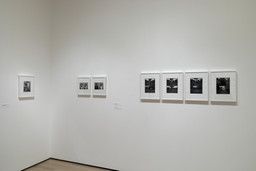 Installation photo, 9 of 73