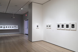 Installation photo, 10 of 73