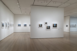 Installation photo, 19 of 73