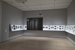 Installation photo, 2 of 73