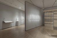 Thinking Machines: Art and Design in the Computer Age, 1959–1989. Nov 13, 2017–Apr 8, 2018.