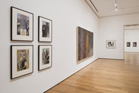 The Long Run. Nov 11, 2017–May 5, 2019. 7 other works identified