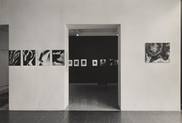 Installation photo, 6 of 67
