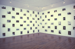 Installation photo, 7 of 82