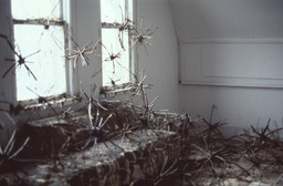 Installation photo, 5 of 7