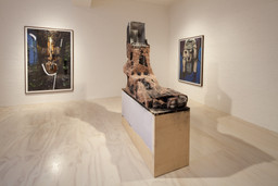 Installation photo, 40 of 50