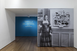 Installation photo, 2 of 29