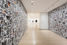 Installation photo, 49 of 93