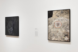 Installation photo, 59 of 93