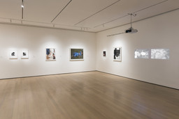 Installation photo, 62 of 93