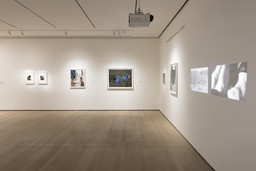 Installation photo, 63 of 93