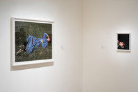 Being: New Photography 2018. Mar 18–Aug 19, 2018. 1 other work identified