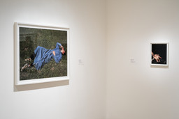 Installation photo, 65 of 93