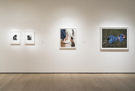 Being: New Photography 2018. Mar 18–Aug 19, 2018. 3 other works identified