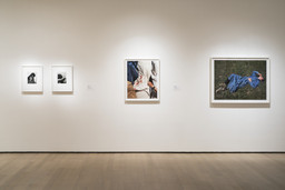 Installation photo, 66 of 93