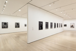 Installation photo, 7 of 93