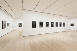 Installation photo, 8 of 93