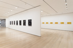 Installation photo, 25 of 93
